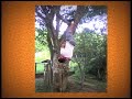 minha divers�o