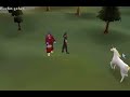 Kingmaxking 99 cooking - skillcape Kingmaxking 99 cooking - skillcape