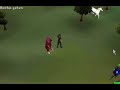Kingmaxking 99 cooking - skillcape