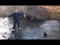 Ver video