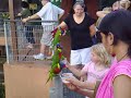 Lory Park (Singapore Jurong Bird Park) Lory Park (Singapore Jurong Bird Park)