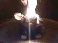 Burn Furby Burn!!!