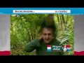 Rachel Maddow-Shagged by a rare parrot