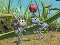 A Bug\