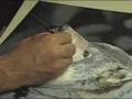 Wolf Speed Painting The Sentry By Warrick Holfeld