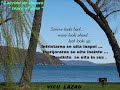 VICU-LAZAU-Lacrimi-d