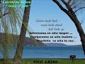 VICU-LAZAU-Lacrimi-d