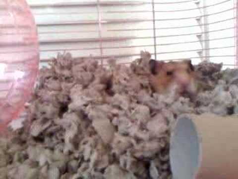 Chloe waking up