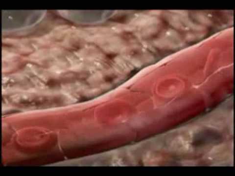 Magnetic Aura – Blood process