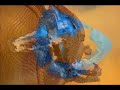 Chainsaw Boot Test Chainsaw Boot Test