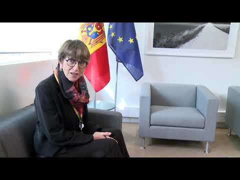 Igor Dodon a avut o întrevedere cu co-raportorii APCE pentru Republica Moldova