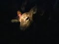 Doe Bowkill Doe Bowkill