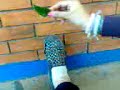 zapato con hambre!!