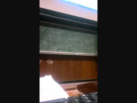 how to isolate cd8 t cells