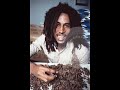 Bob Marley Easy Skanking Bob Marley Easy Skanking