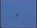 snow board by leandros snow board by leandros