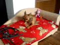 20080518_163822_MOV01723.3GP