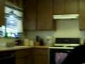 videos de Thrown away bud
