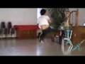 Martial-Art-of-Wushu