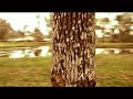 Glidecam 4000 Pro Test