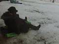 videos de neve