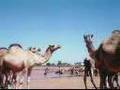 Aduunyo Somali song Maxamed Mooge