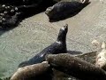 san diego california