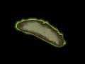 butterbrot intro version 4