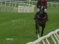 Horse Racing Music Video