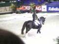 Edward Gal en Moorland's Totilas clinic NIC Zuidlaren deel 3
