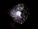 Jungle Habitat Fireworks Finale Pt.2