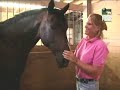 Horse Power - Road to the Maclay ---Episode 1 (3)