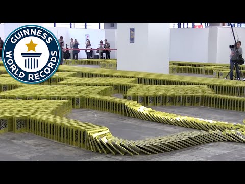 Book Dominoes