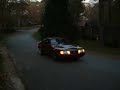 strawberry mustang burnout