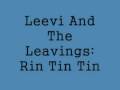 Leevi And The Leavings: Rin Tin Tin