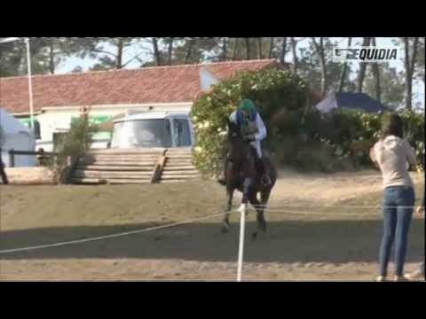 2013 grand national 2013 grand national