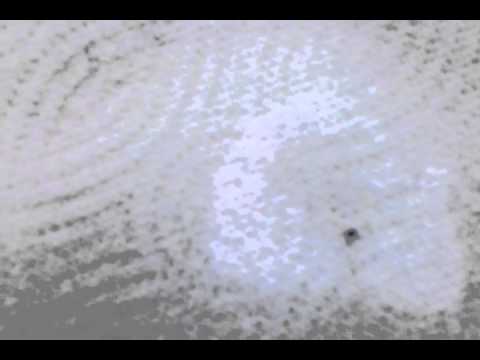 how to eliminate lyme disease