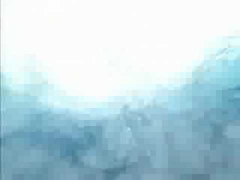 Immagine anteprima YouTube