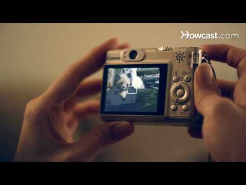 how to use a digital camera