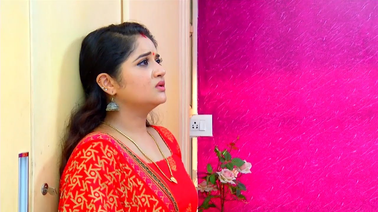 Bhagyajathakam July 16,2016 Epi 254 TV Serial