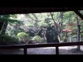 埼玉県富士巡り 20091031 05 演奏 hey hey daddy blues 昼飯