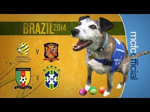 Will Brazil get through? | WORLD CUP PREDICTIONS | Dougie the Dog Will Brazil get through? | WORLD CUP PREDICTIONS | Dougie the Dog