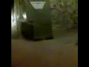 MENEITO EN EL BAÑO [PARTE PRIMERA]