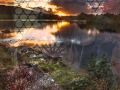 Majella -The Spinning Wheel - Traditional Irish Folk Song - End War End Political Propaganda