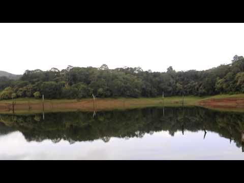 Thekkady video