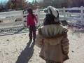 videos de trip to the zoo! pt.2