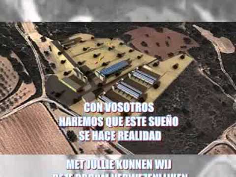 Mijn hulp aan Spaanse zwerfhondjes