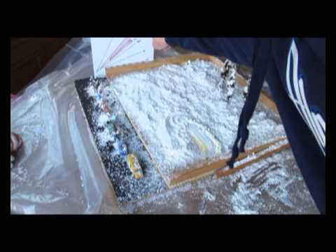 Avalanche Science Project
