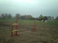 Basia i Lotto skoki