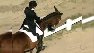 Because We Can: Dressage
